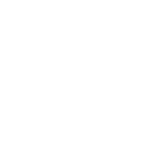 Autobus